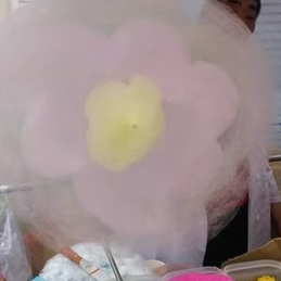 \2025年一宮町農林商工祭 出展者リスト|当社も出店!会場マップ付き📢/ 桶庄トーヨー住器のイベントキャンペーン 写真31