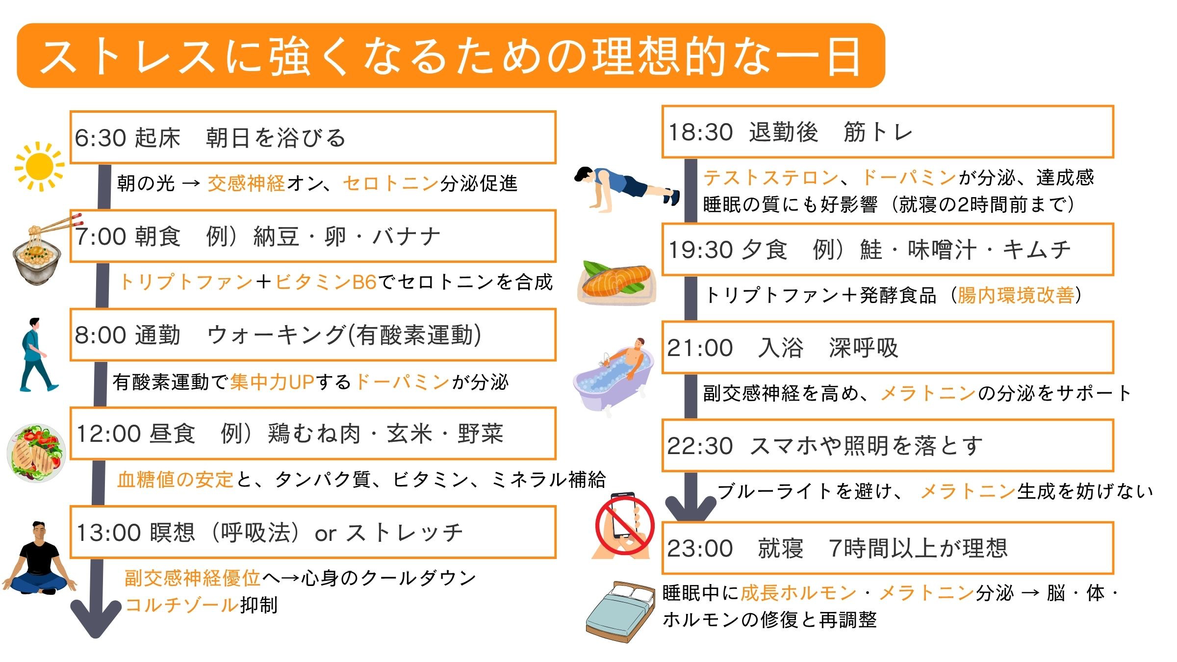 ストレス改善プログラム🍀 大木建装硝子のブログ 写真3