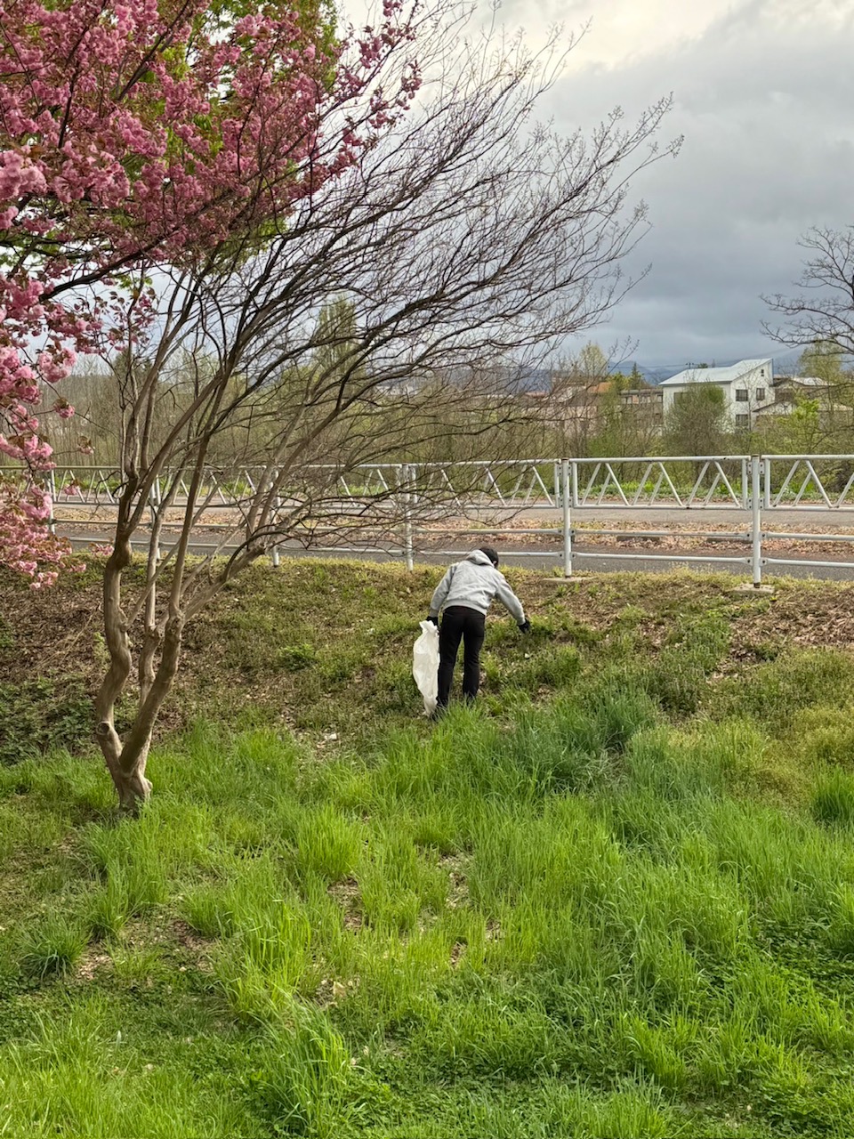 2024年 社会貢献清掃してきました～🧹✨ 大木建装硝子のブログ 写真4