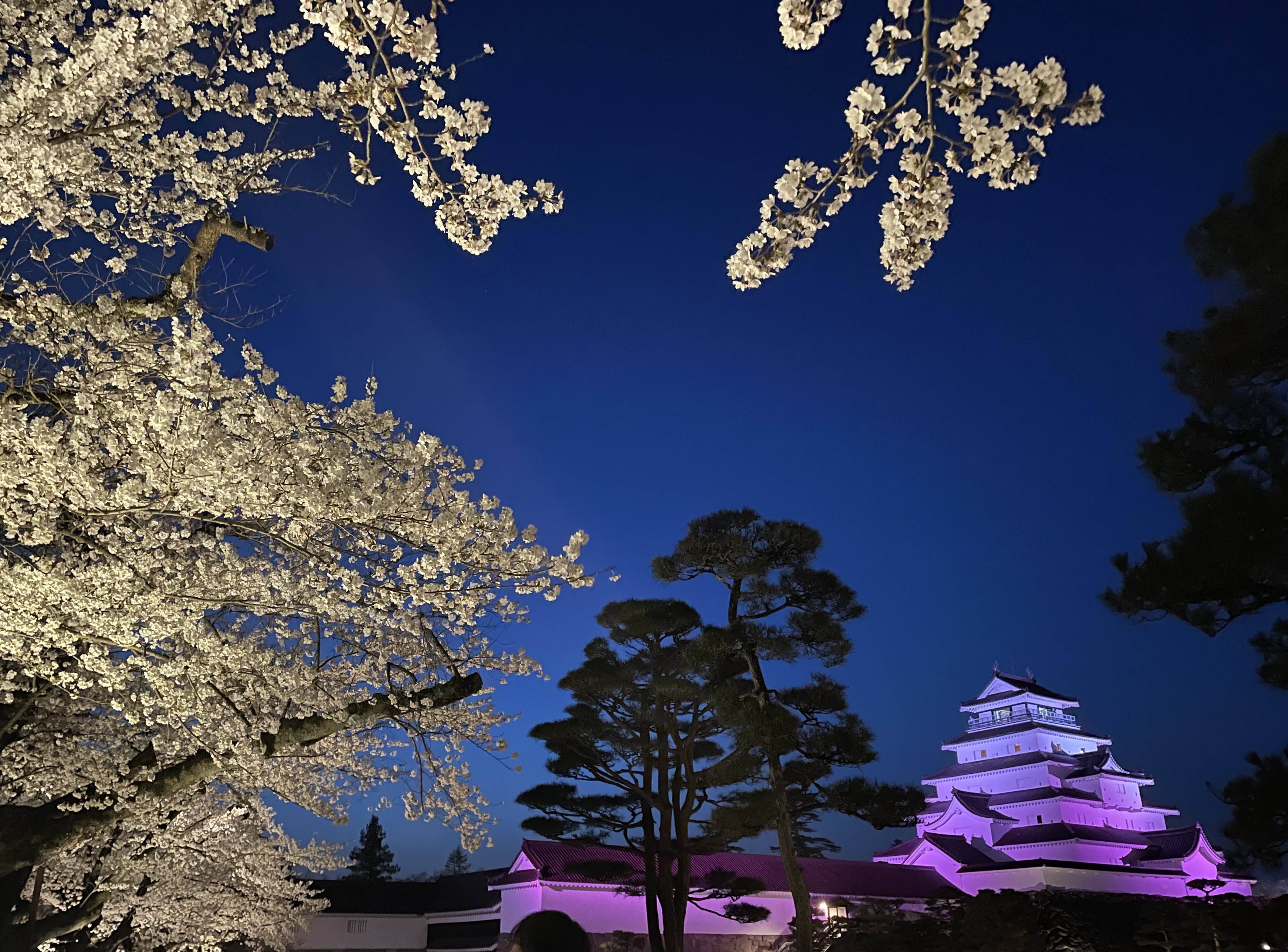 国営ひたち海浜公園へ 千葉トーヨー住器のブログ 写真3