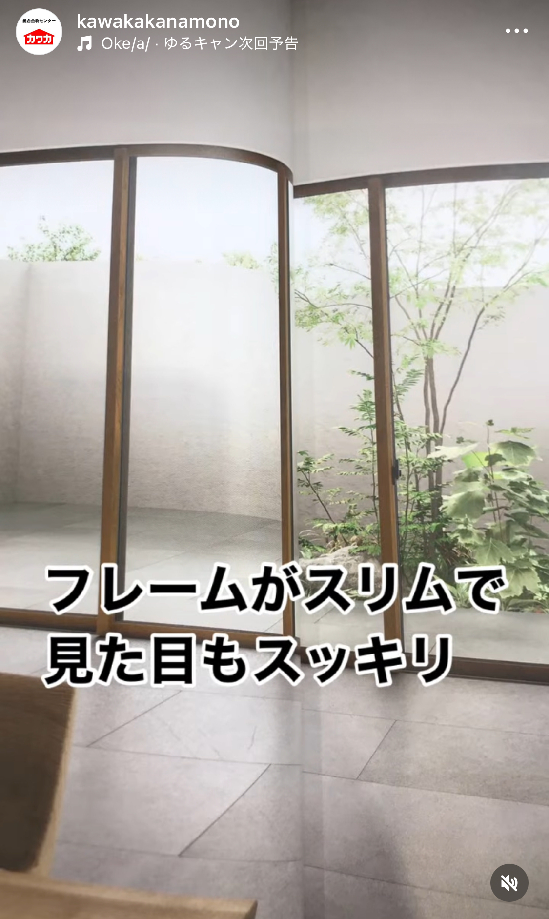 TW WOOD　発売！ カワカのブログ 写真2