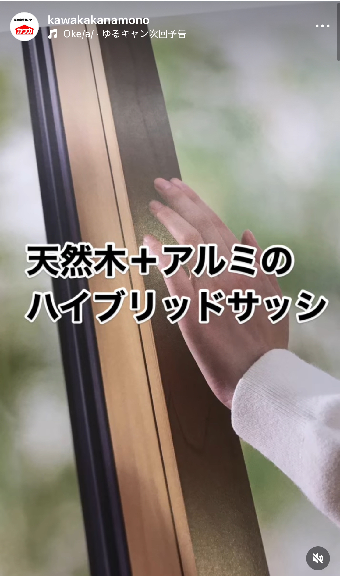 TW WOOD　発売！ カワカのブログ 写真1