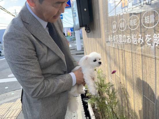 写真