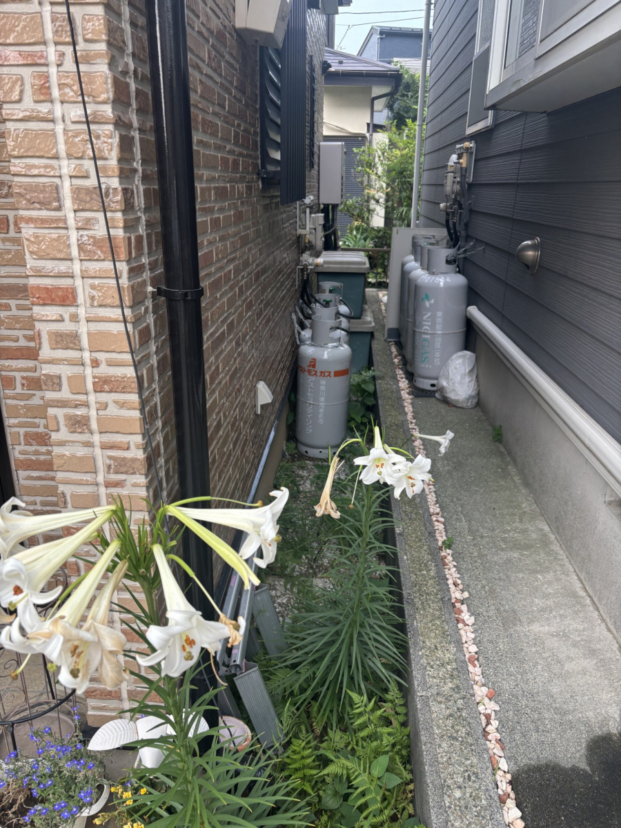 海老名トーヨー住器の海老名市 困り果てた雑草対策 防草シート+土間コンクリ張り工事 施工例の施工前の写真1