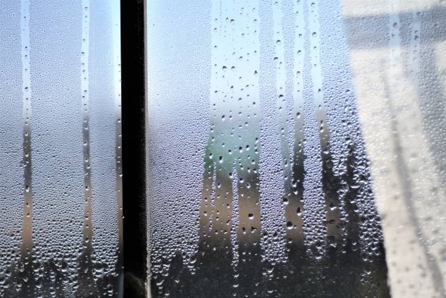 秋ですね タンノサッシのブログ 写真2