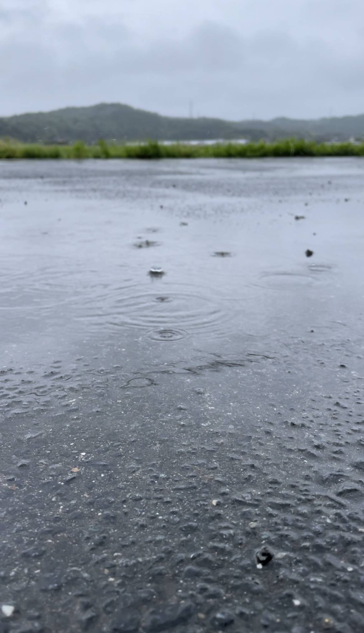 梅雨入り間近…？ タンノサッシのブログ 写真1