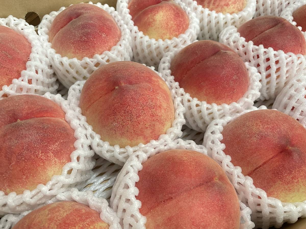 桃の季節がやってきました！ タンノサッシのブログ 写真1