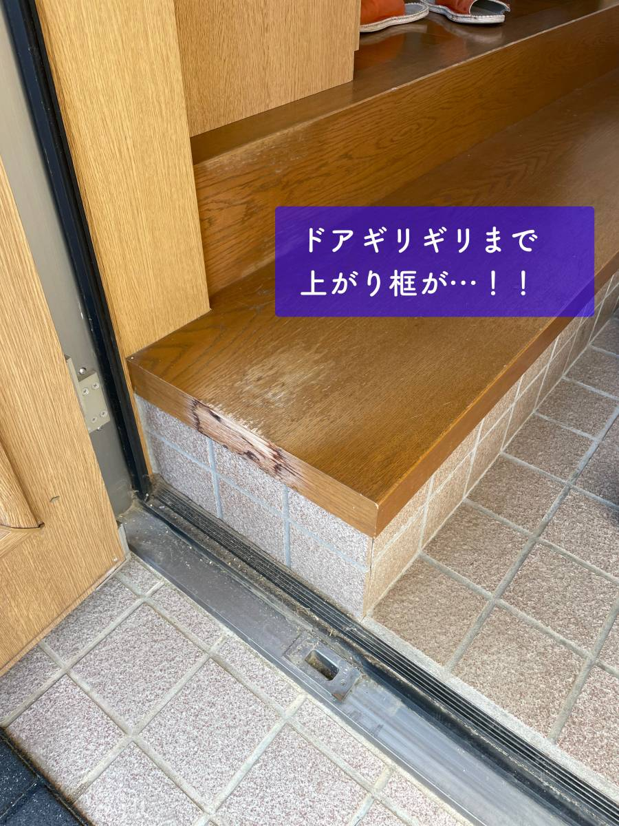 タンノサッシの親子ドア玄関に収納網戸「しまえるんですα」を取付けましたの施工前の写真2