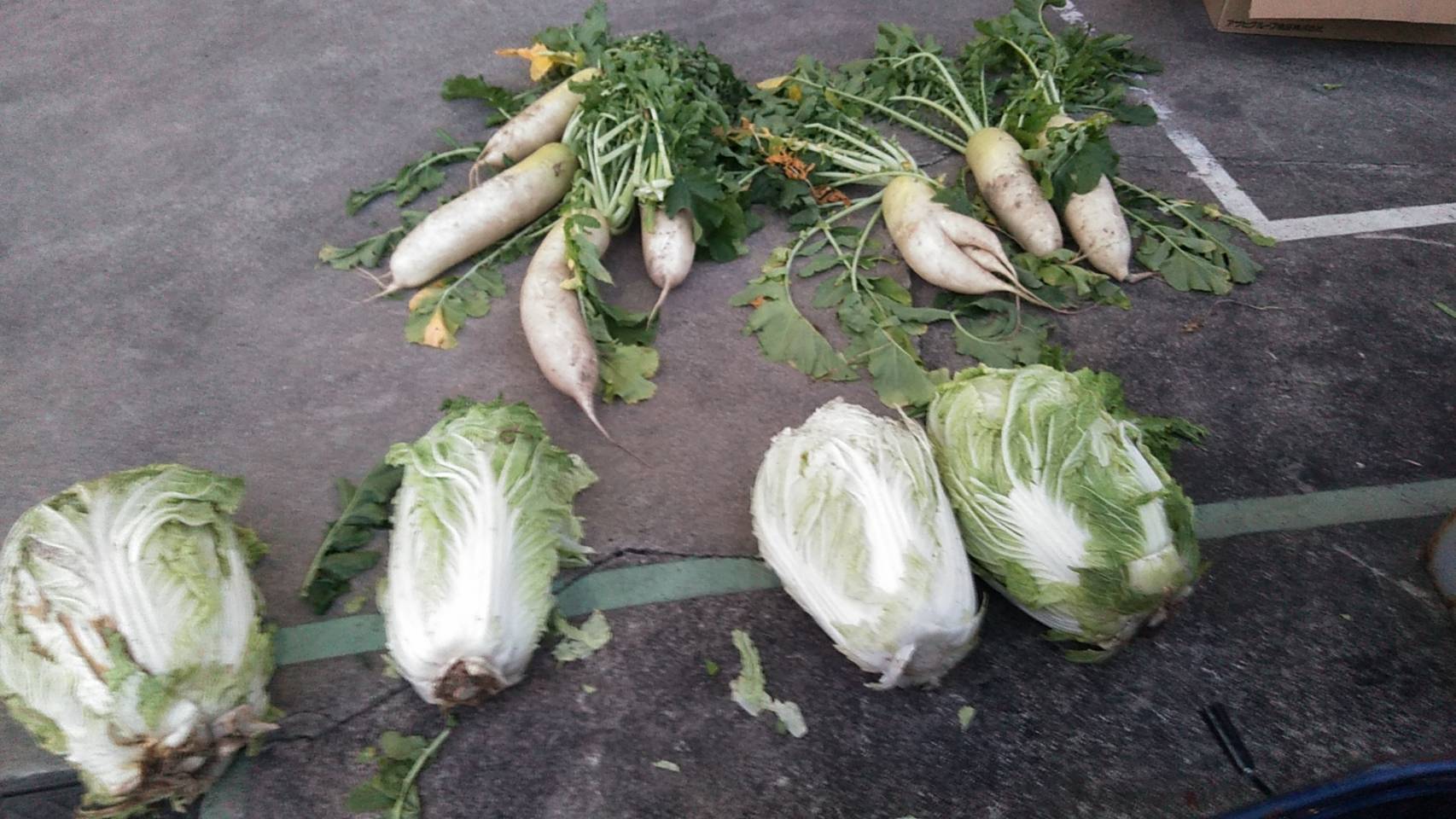 近所の農家さんから野菜を頂きました。 ウチヤマのブログ 写真1