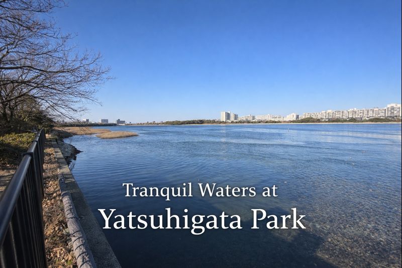 🛶　静かな静かな水辺で、心が整う ― 谷津干潟公園 杉山トーヨー住器のブログ 写真1