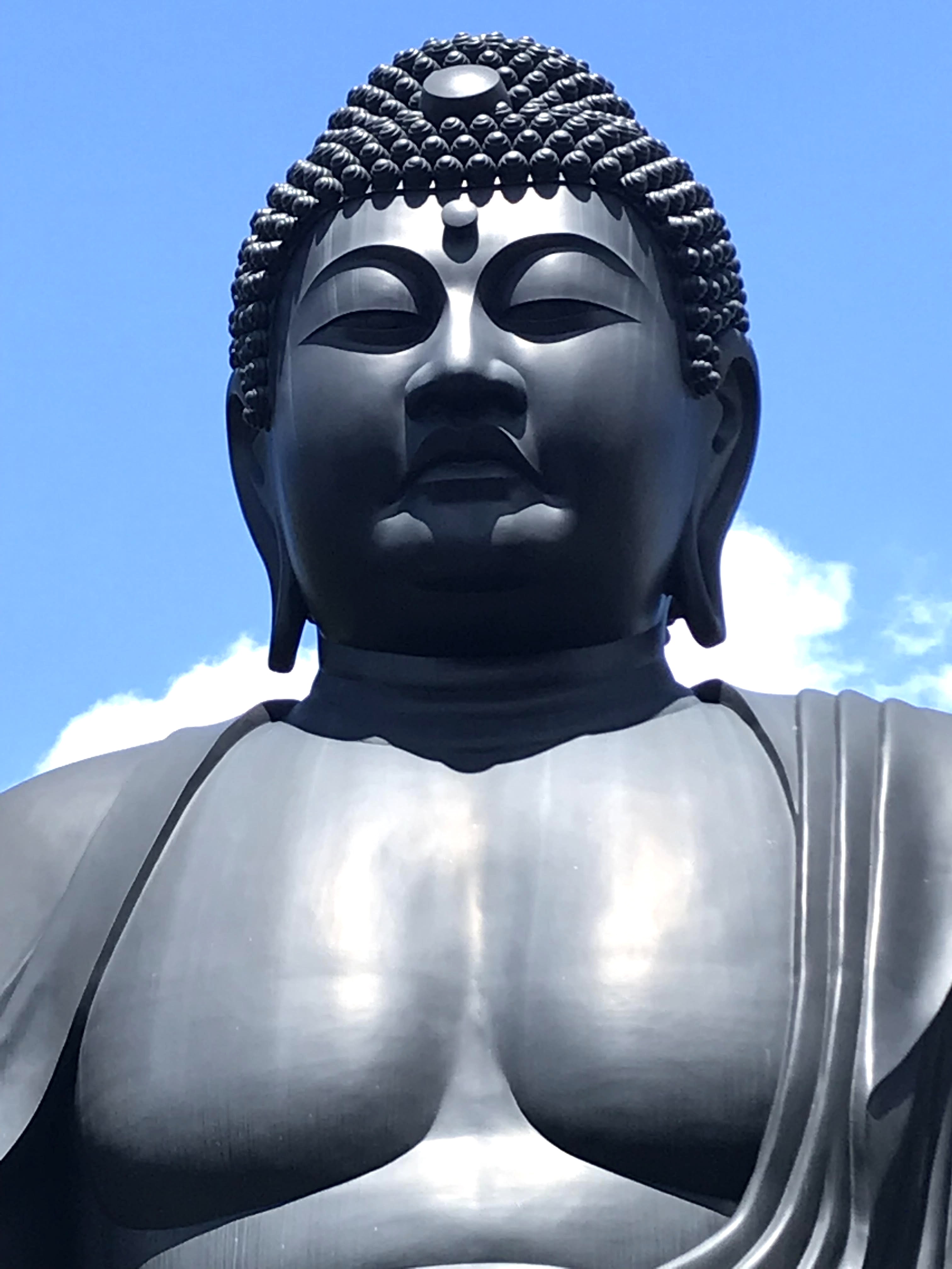 🖼️赤塚山乗蓮寺の大仏（東京大仏） 杉山トーヨー住器のブログ 写真1
