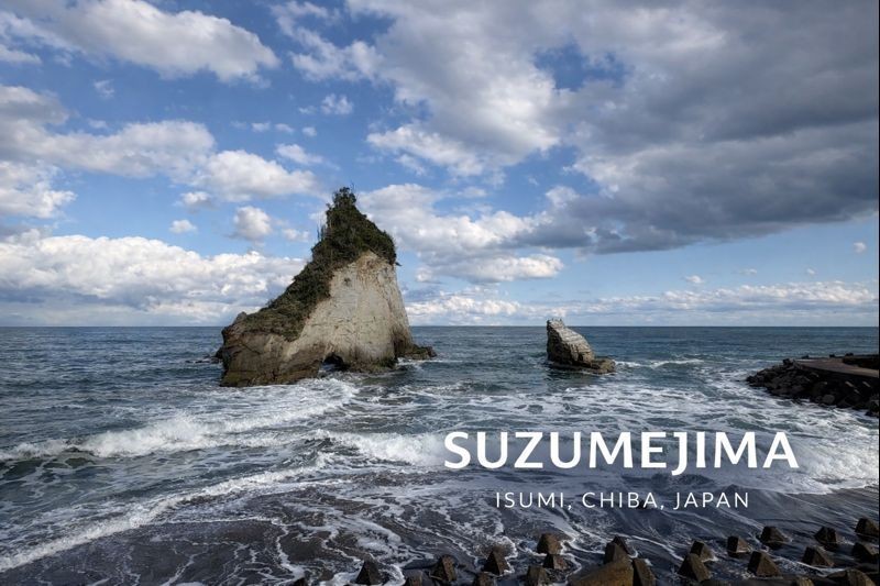🖼 SUZUMEJIMA 　（ISUMI, CHIBA, JAPAN） 杉山トーヨー住器のブログ 写真1