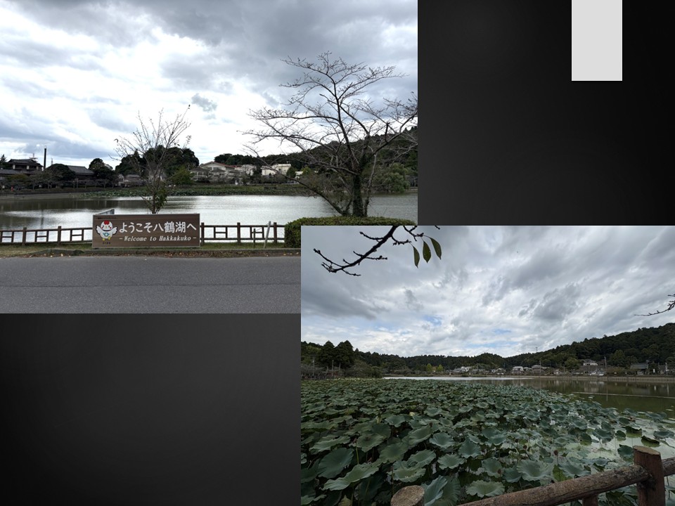 🌿 水と静寂が出会う場所 ― 八鶴湖（Hakkaku-ko, Togane, Japan） 杉山トーヨー住器のブログ 写真1
