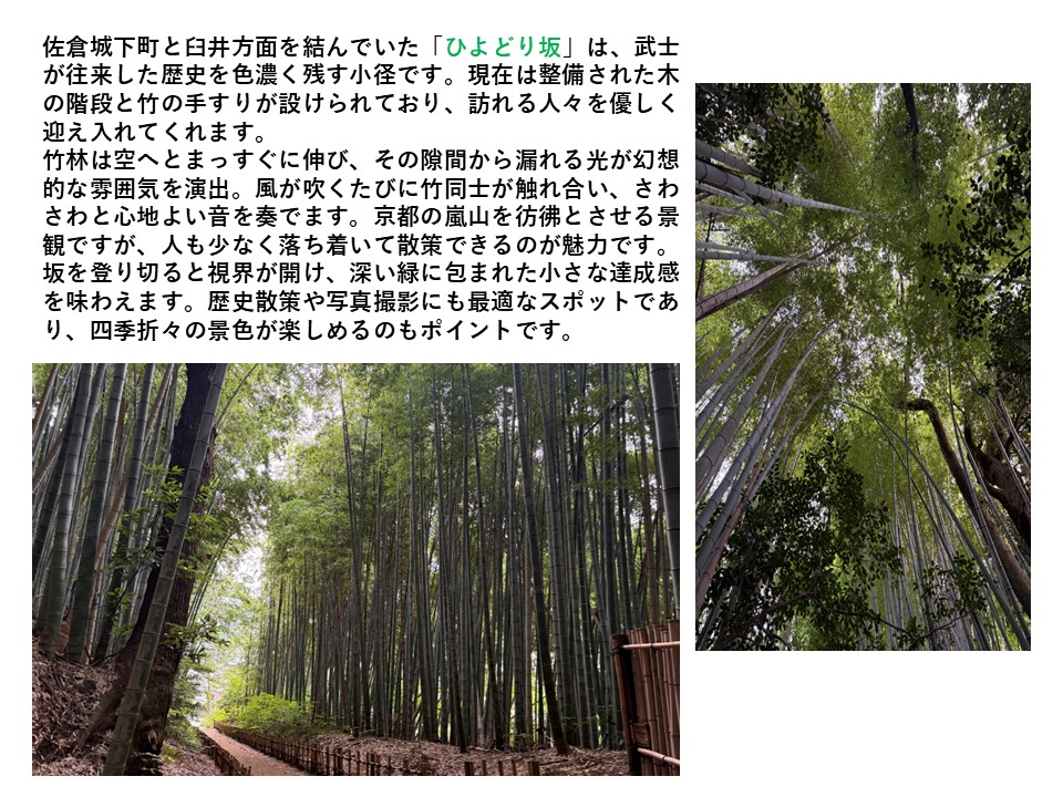 ひよどり坂［千葉県佐倉市］ 杉山トーヨー住器のブログ 写真2