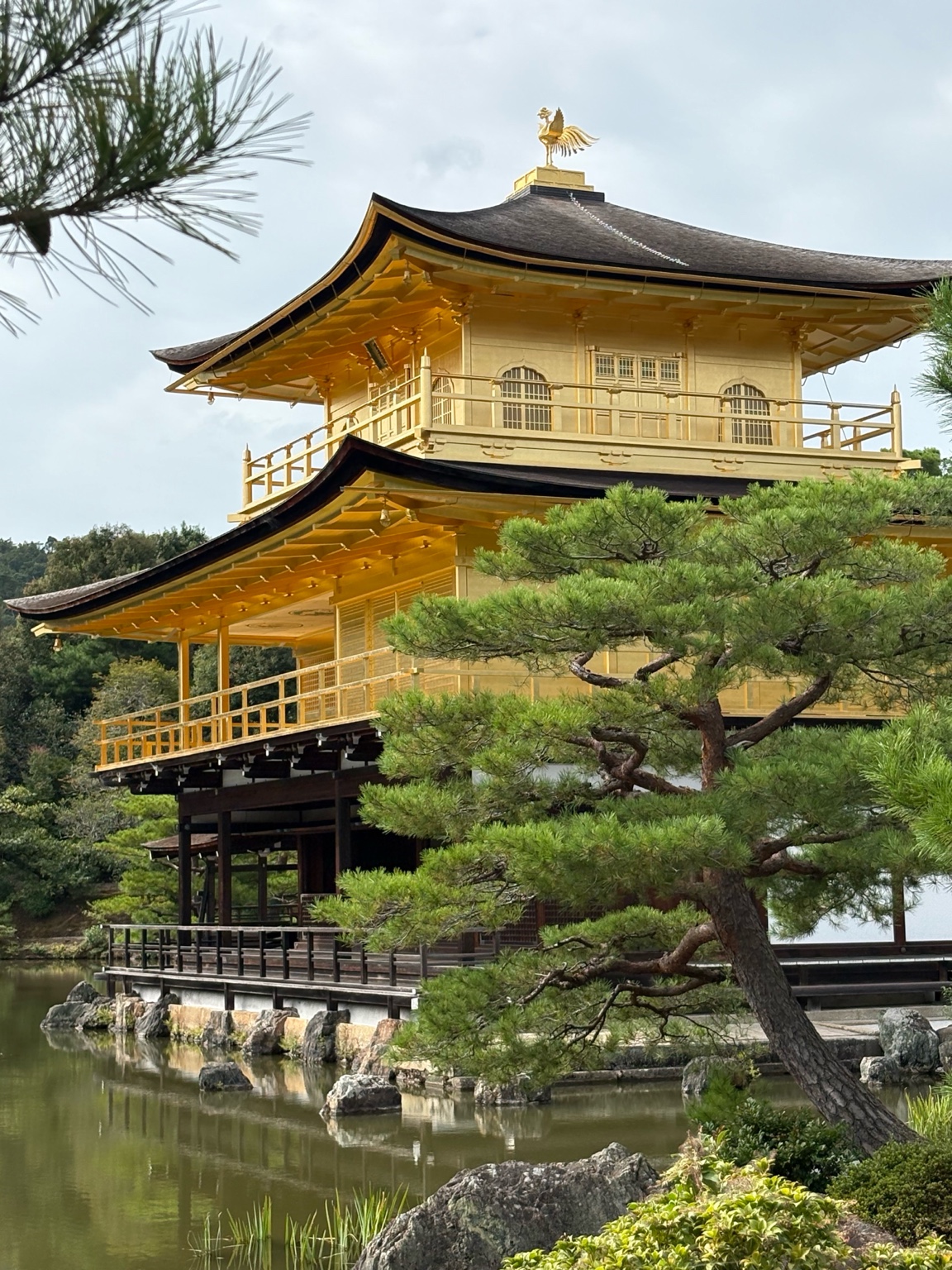 金閣寺に行って来ました（静岡発　日帰り旅行） 杉山トーヨー住器のブログ 写真1