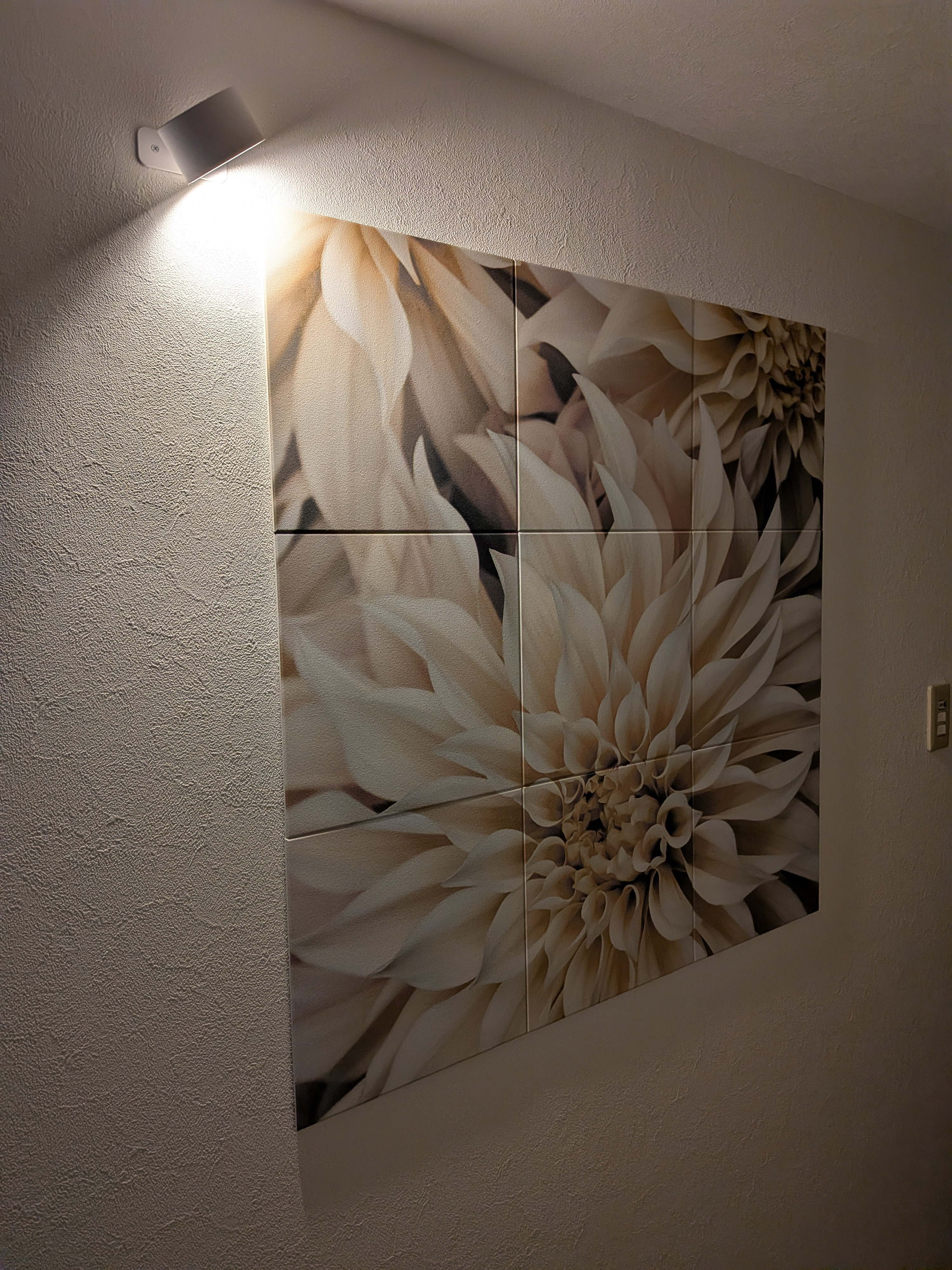 十倉トーヨー住器の空気を整える壁材～エコカラット セルフで玄関の臭いをリフレッシュの施工後の写真2