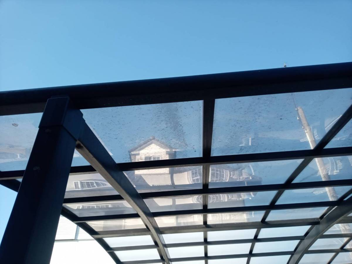 スルガリックス 静岡店のカーポートの屋根材を取替えたいの施工前の写真2