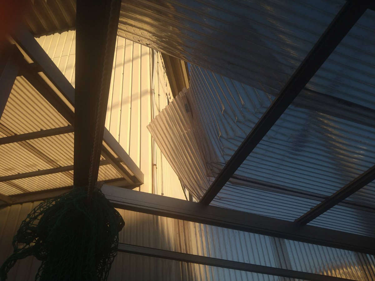 スルガリックス 静岡店の風の吹き上げで破れた倉庫の波板屋根をなんとかしてほしいの施工前の写真1