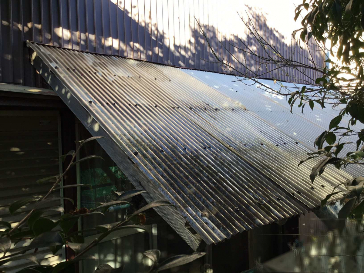 スルガリックス 静岡店の洗濯物干し場の屋根を新しくしたいの施工前の写真1