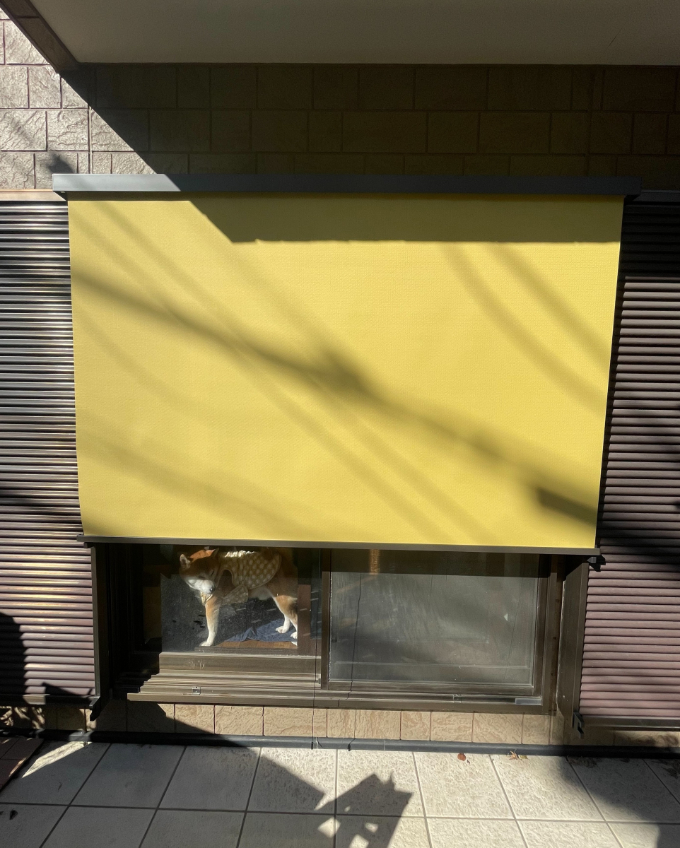イワセトーヨー住器のさいたま市【おしゃれに日よけ】スタイルシェード取付工事の施工後の写真1