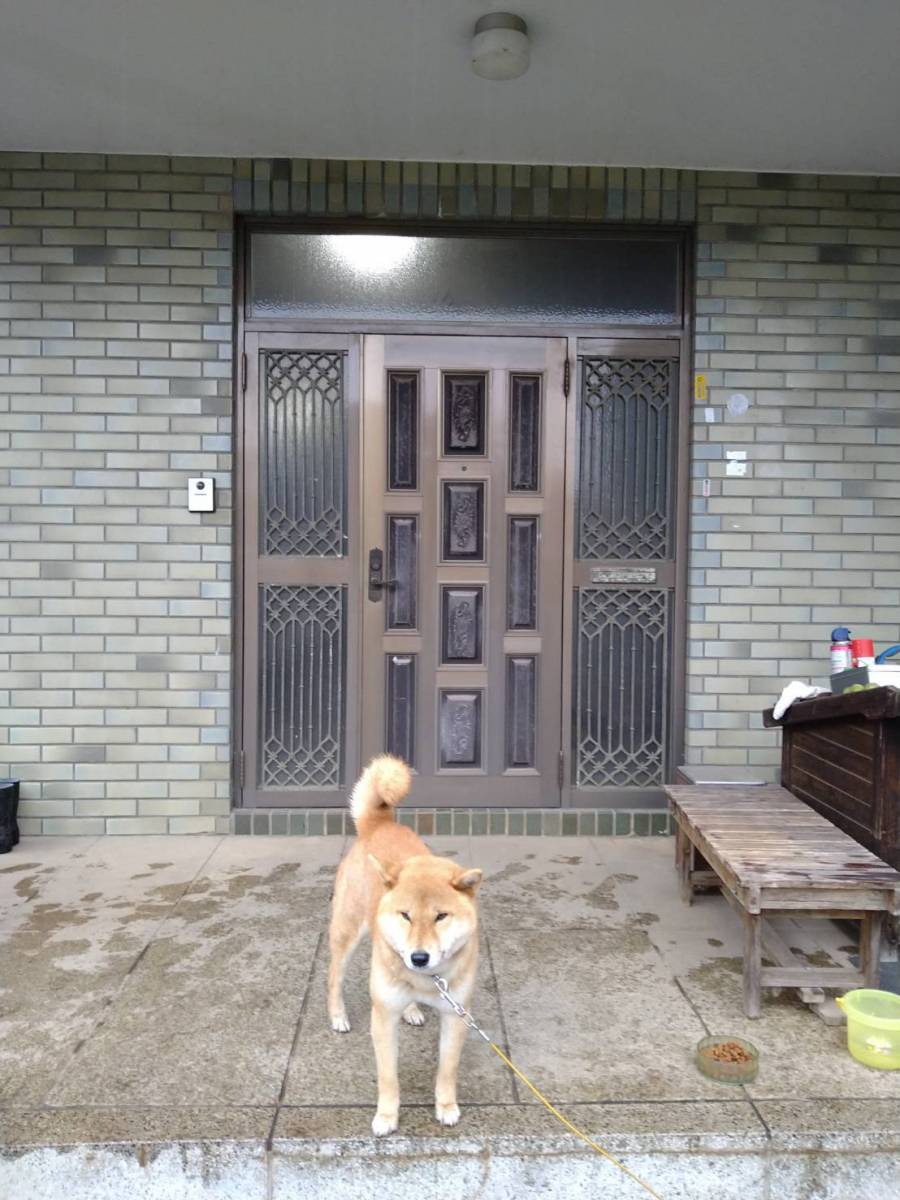 みもとトーヨーのこどもエコすまい支援事業対象：　リシェント玄関ドア断熱仕様ｋ2の施工前の写真1