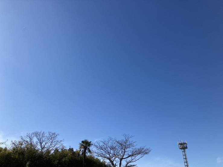 快晴！園芸部活動報告⑪ 大和アルミトーヨー住器のブログ 写真2