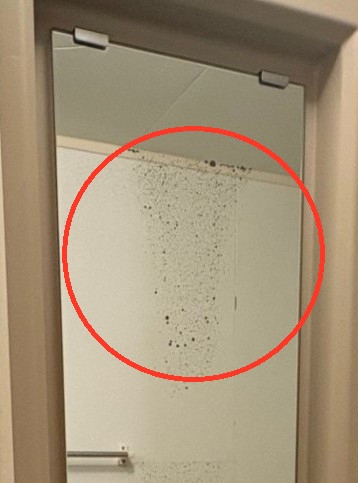 サトートーヨー住器の鏡の中に黒い斑点が！？の施工前の写真1