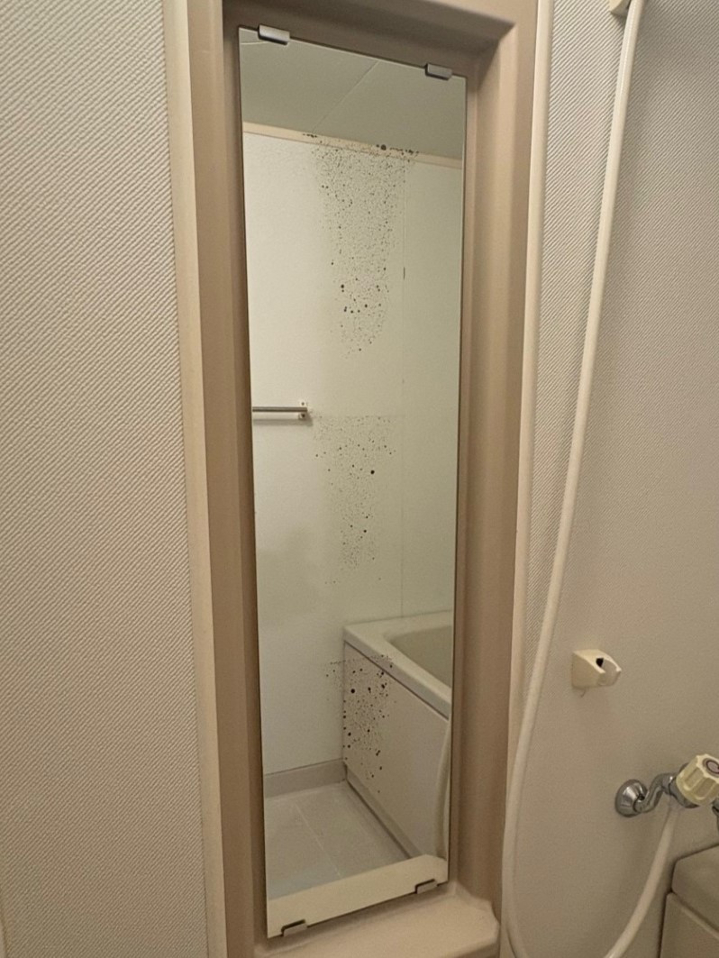 サトートーヨー住器の鏡の中に黒い斑点が！？の施工前の写真2