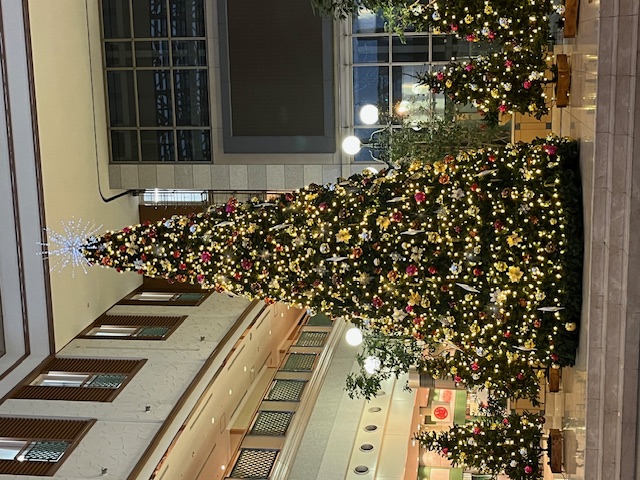 メリークリスマス 二葉屋のブログ 写真1