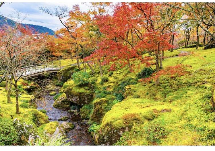 今日から11月！！🍁 飯田トーヨー住器のブログ 写真2