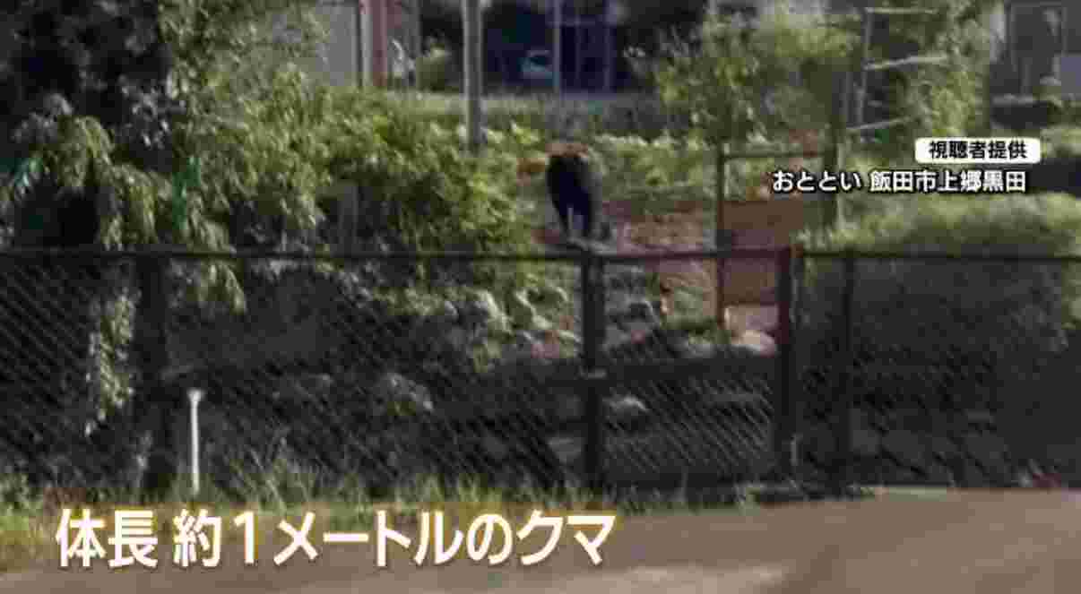 熊出没🐻 飯田トーヨー住器のブログ 写真3