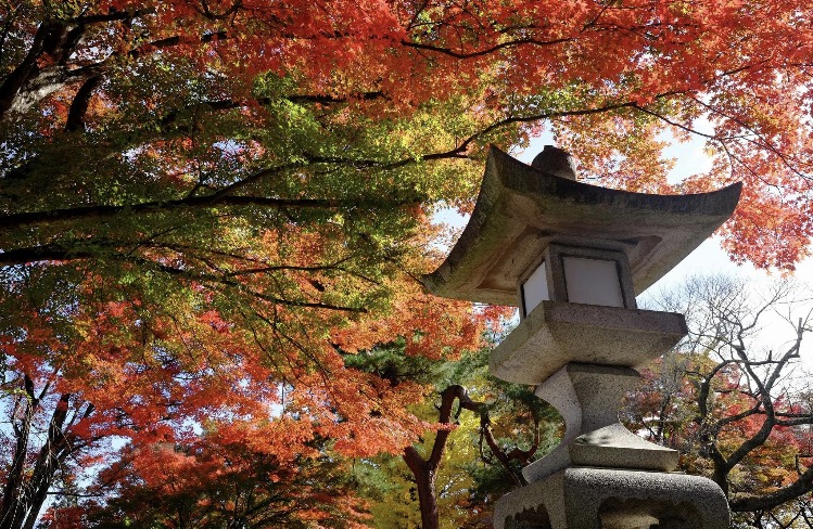 紅葉Ⅱ 飯田トーヨー住器のブログ 写真4