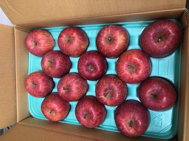 【飯田市　高森町産】リンゴ頂きました🍎 飯田トーヨー住器のブログ 写真3