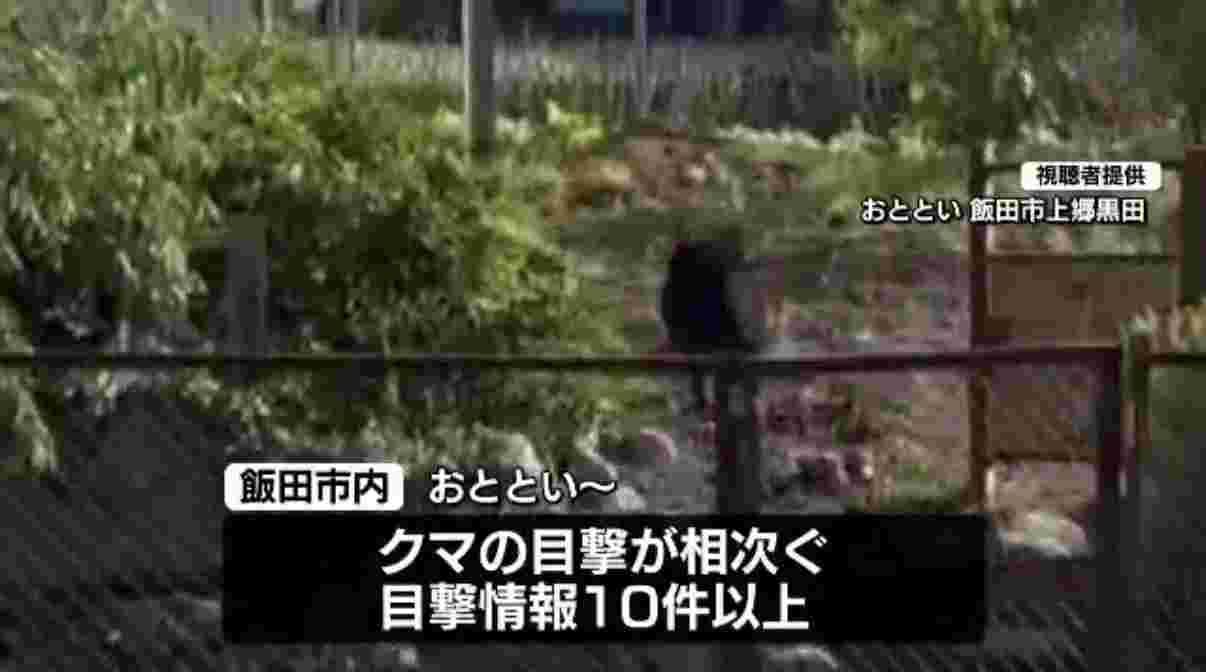 熊出没🐻 飯田トーヨー住器のブログ 写真2