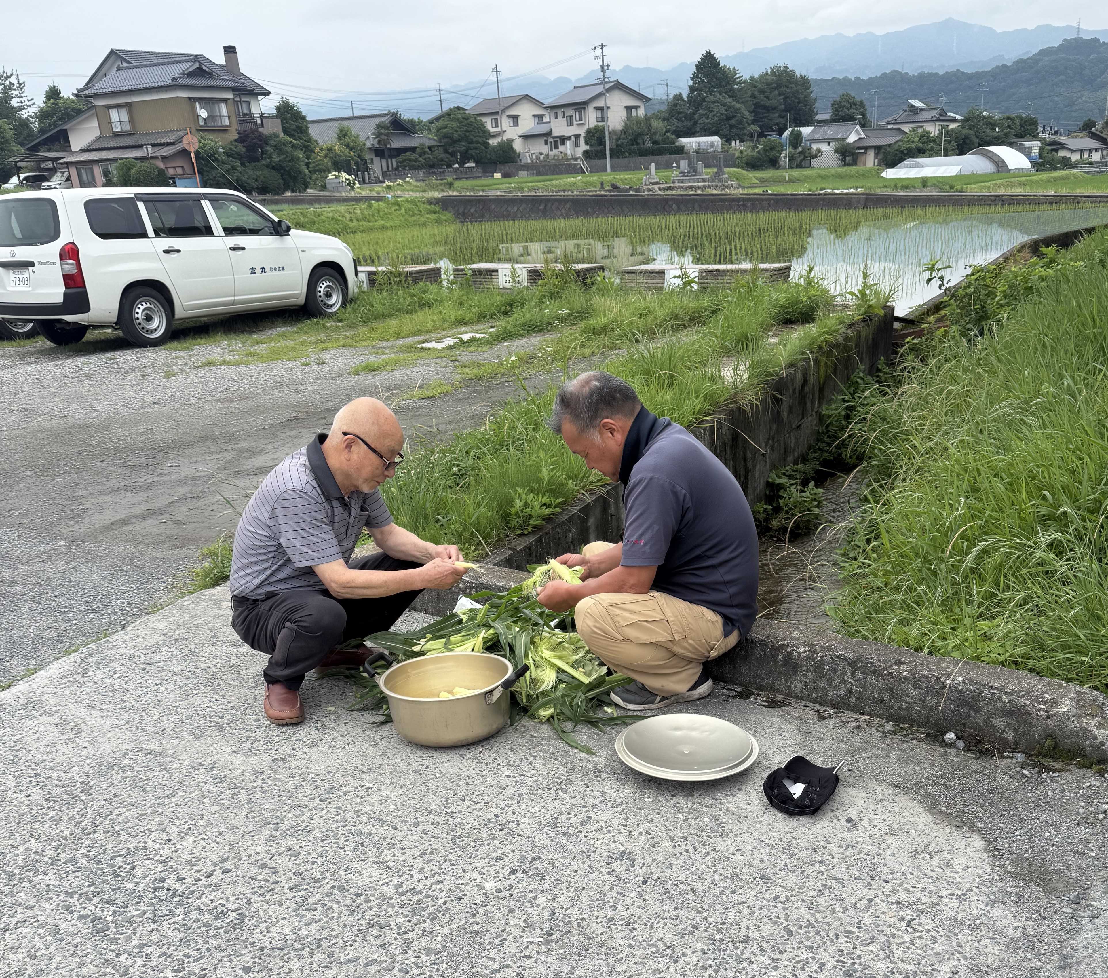 ヤングコーン 飯田トーヨー住器のブログ 写真1