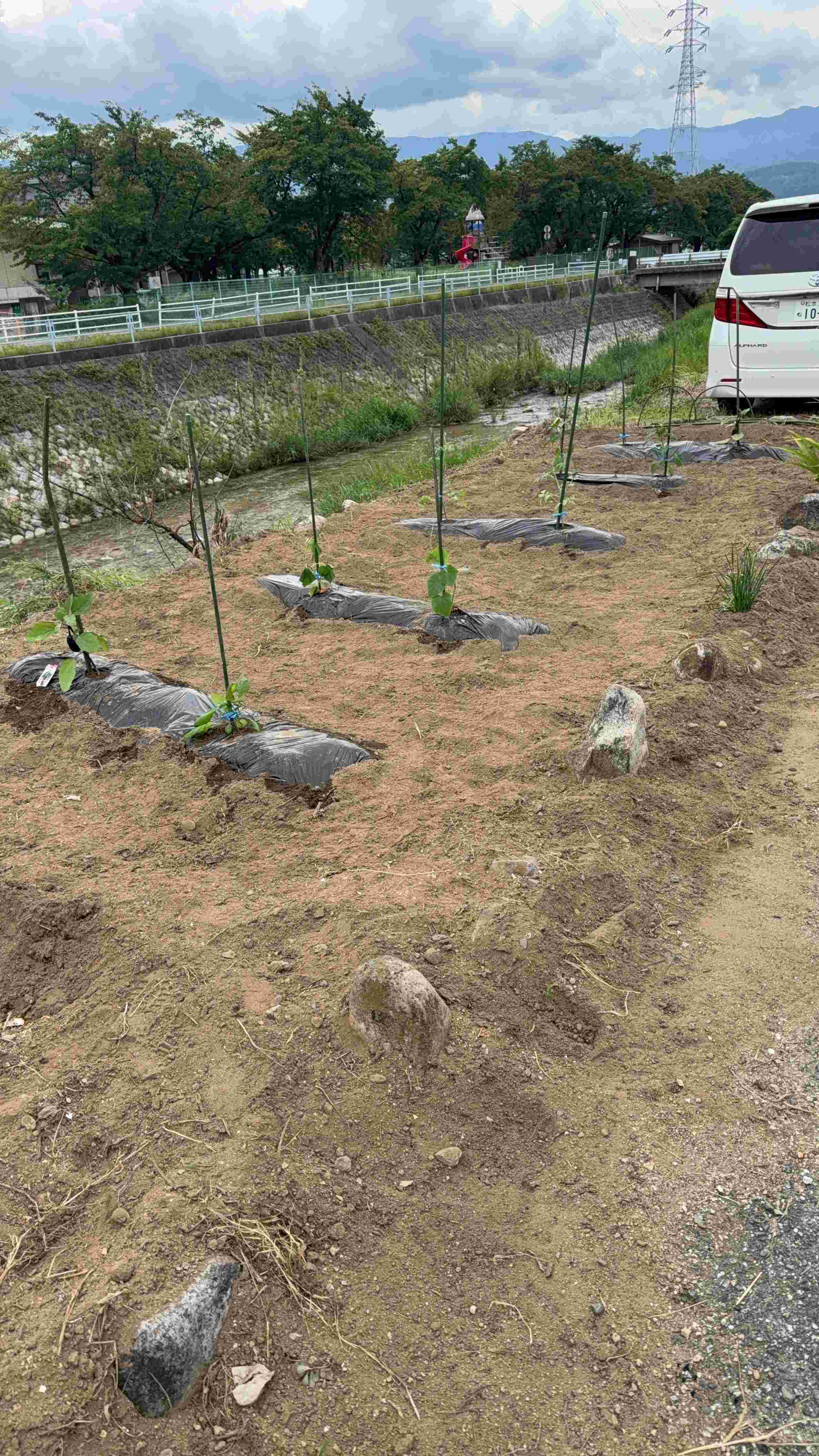 畑 飯田トーヨー住器のブログ 写真1