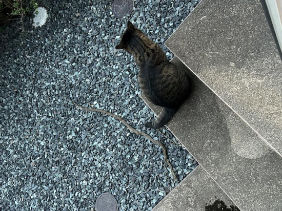 次のブログ