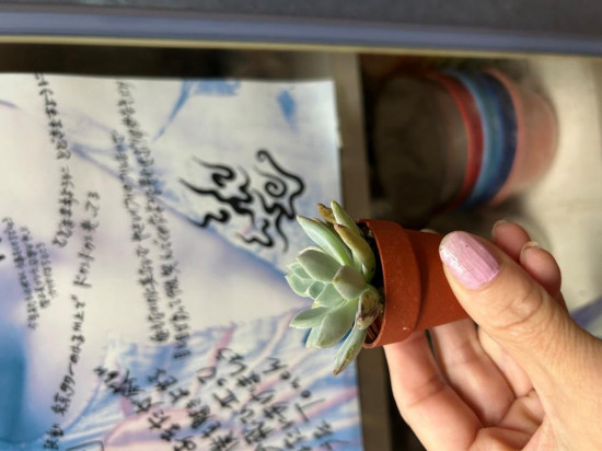 前のブログ
