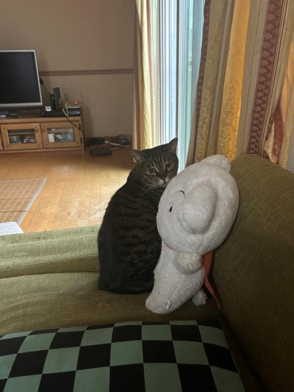 前のブログ