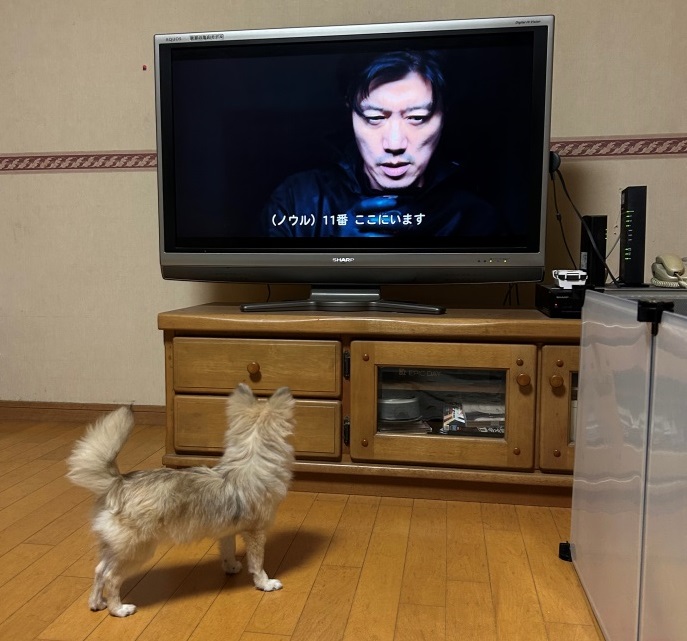 ストレスが溜まる週末 ミヤザキトーヨー住器のブログ 写真2