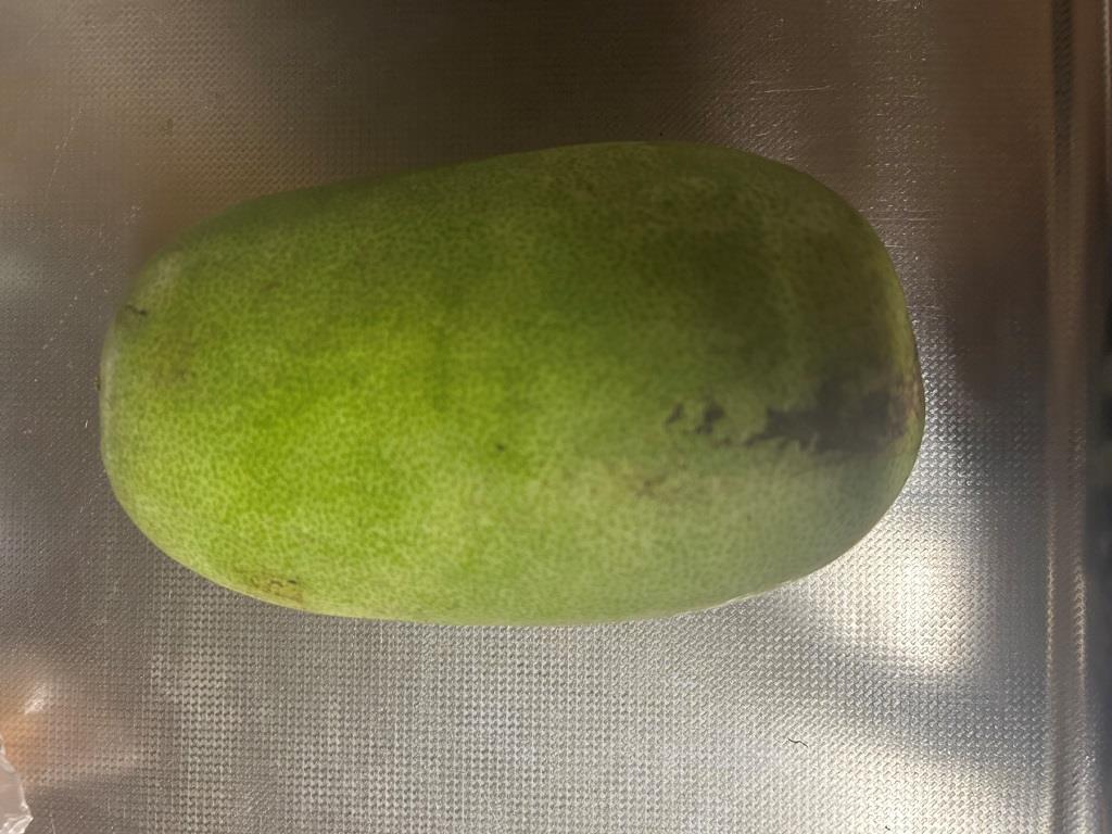 冬だけど夏野菜系らしい ミヤザキトーヨー住器のブログ 写真6