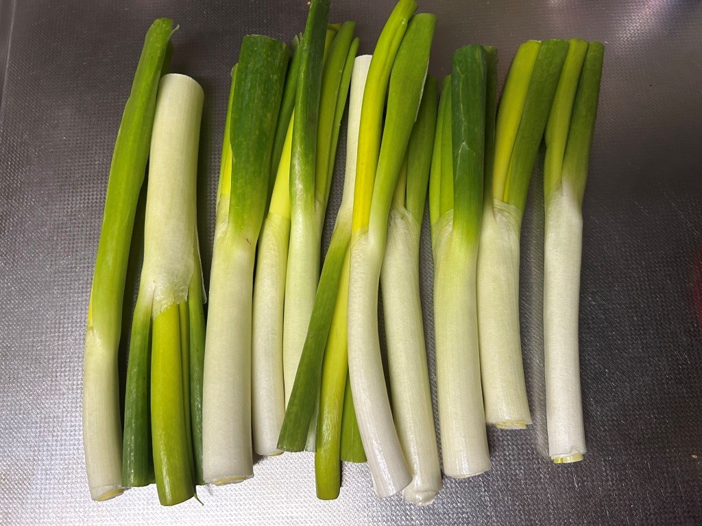 ネットで買ったネギが届く ミヤザキトーヨー住器のブログ 写真5