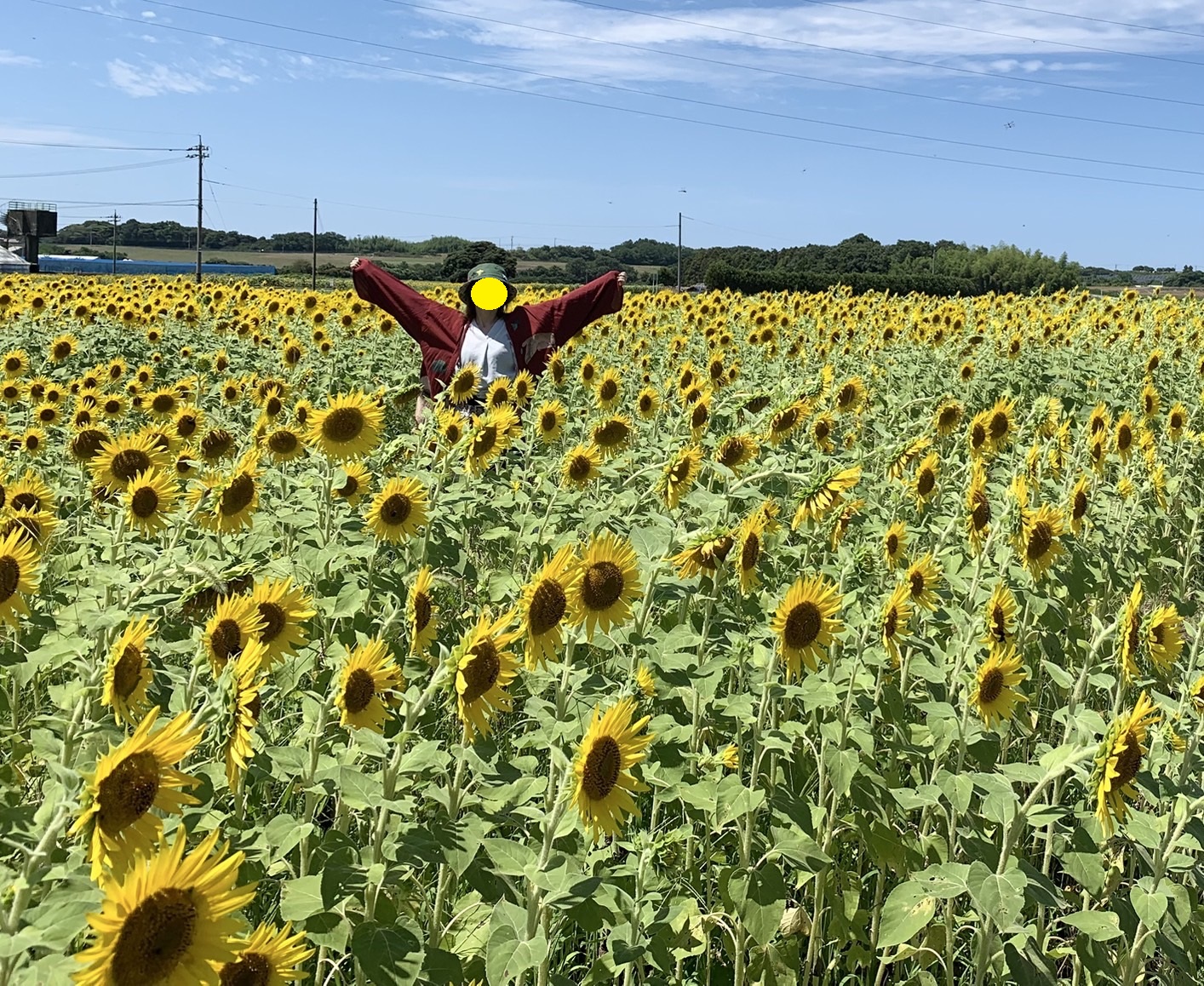 あ~夏休み!!!BBA~☆彡 ミヤザキトーヨー住器のブログ 写真5