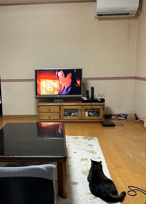 コソッと。 ミヤザキトーヨー住器のブログ 写真5