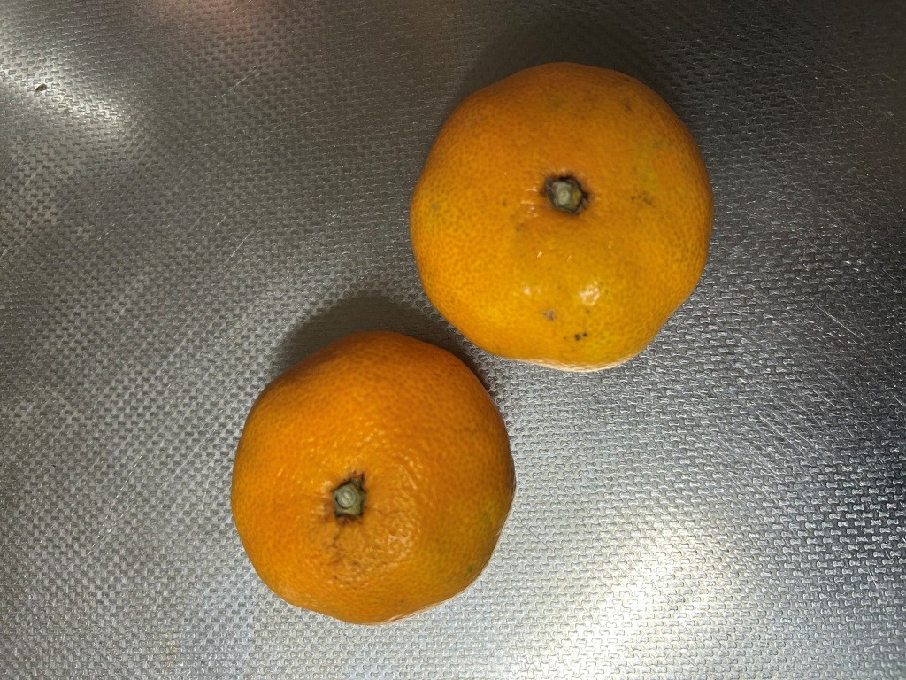 誕生日だったのよ① ミヤザキトーヨー住器のブログ 写真16