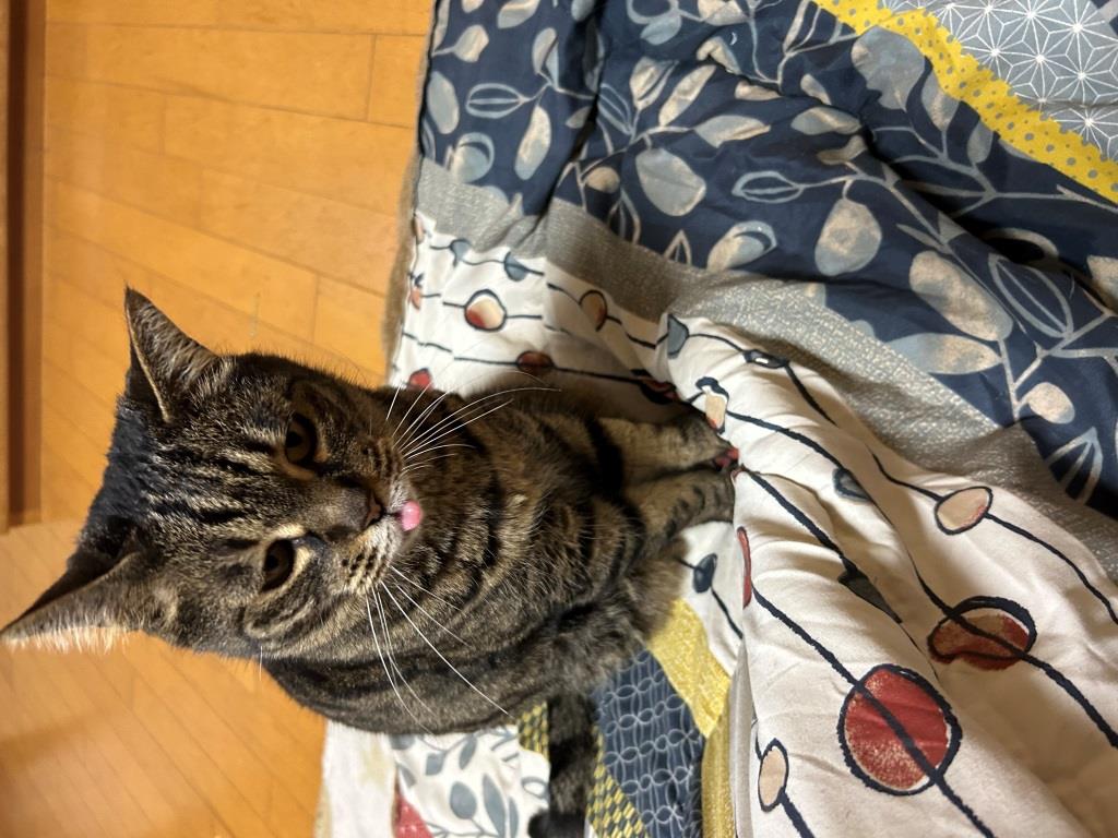 GW何してましたか?③ ミヤザキトーヨー住器のブログ 写真8