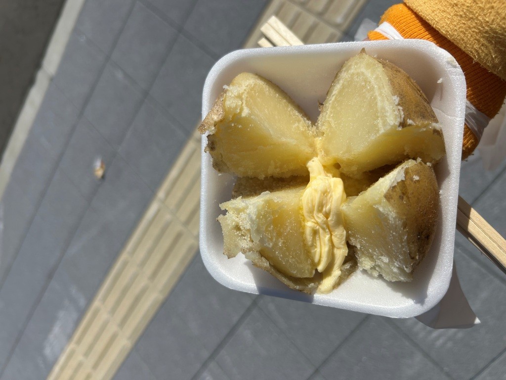 数年ぶりに「左義長まつり」いってきた ミヤザキトーヨー住器のブログ 写真3