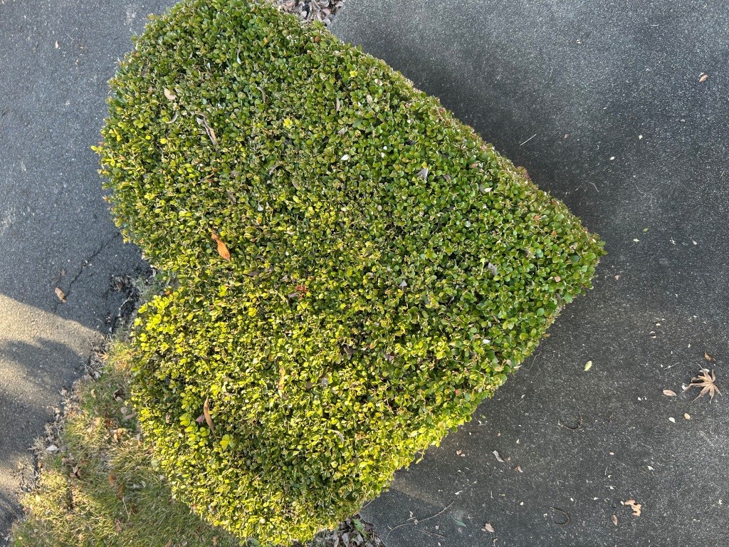 家族対抗忘年会 ミヤザキトーヨー住器のブログ 写真11