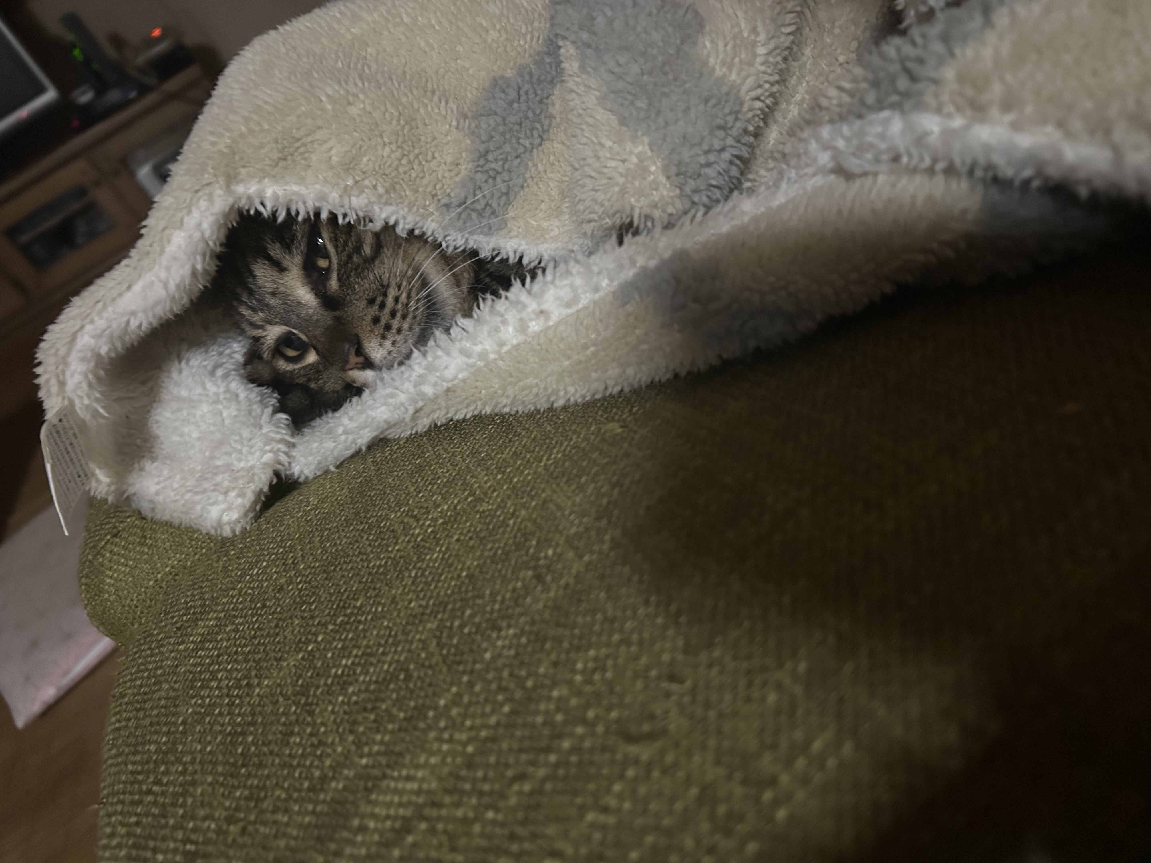 落ち着け ミヤザキトーヨー住器のブログ 写真2