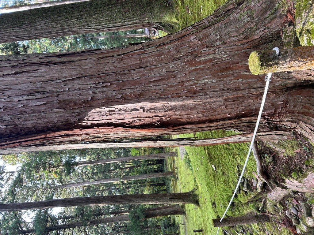 賢い決済方法だと思わない? ミヤザキトーヨー住器のブログ 写真8